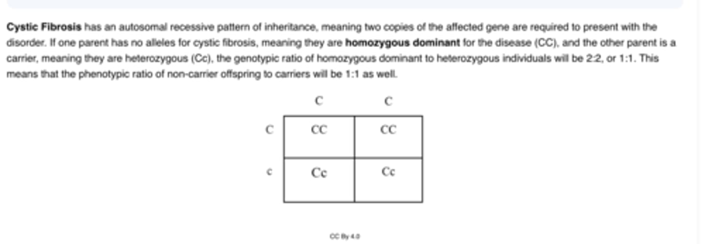 <p>A.1:1</p>