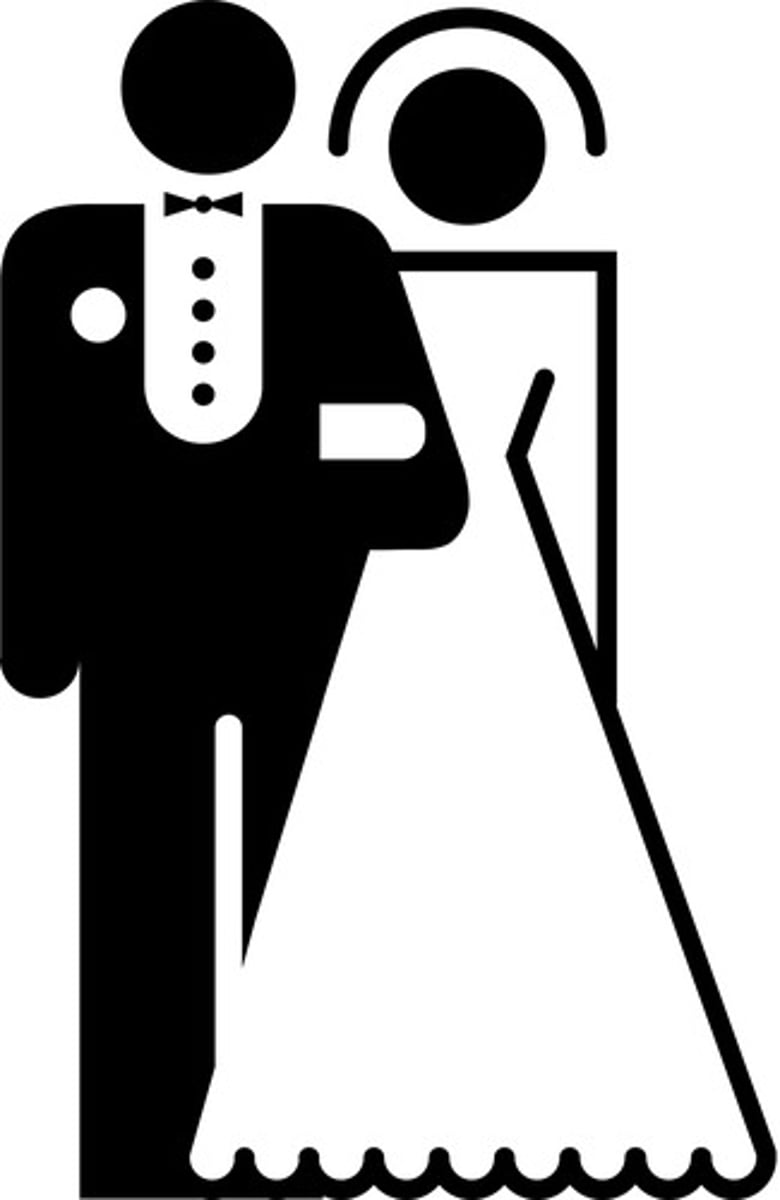 <p>marriage; wedding</p>