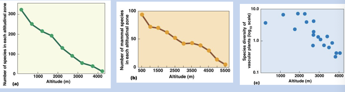 <p>In a stable climate, species can specialize on predictable resources and have narrower niches</p><p>– Facilitating speciation</p><p>Fewer species have evolved to tolerate harsh or unfavorable environments (high latitudes, altitudes)</p>