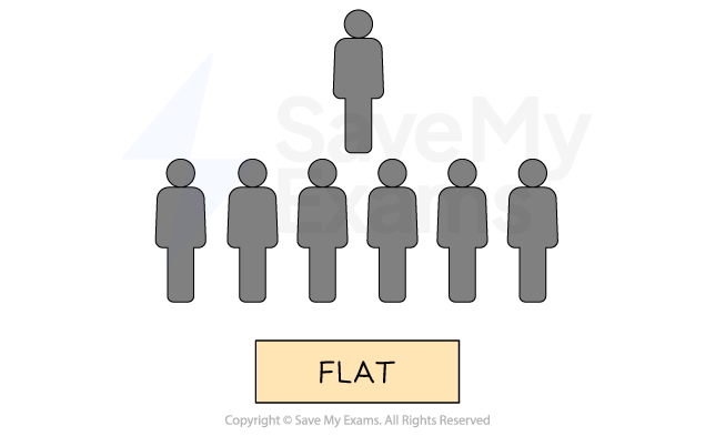 <p>A <strong>short</strong> chain of command and <strong>wide </strong>span of control</p>