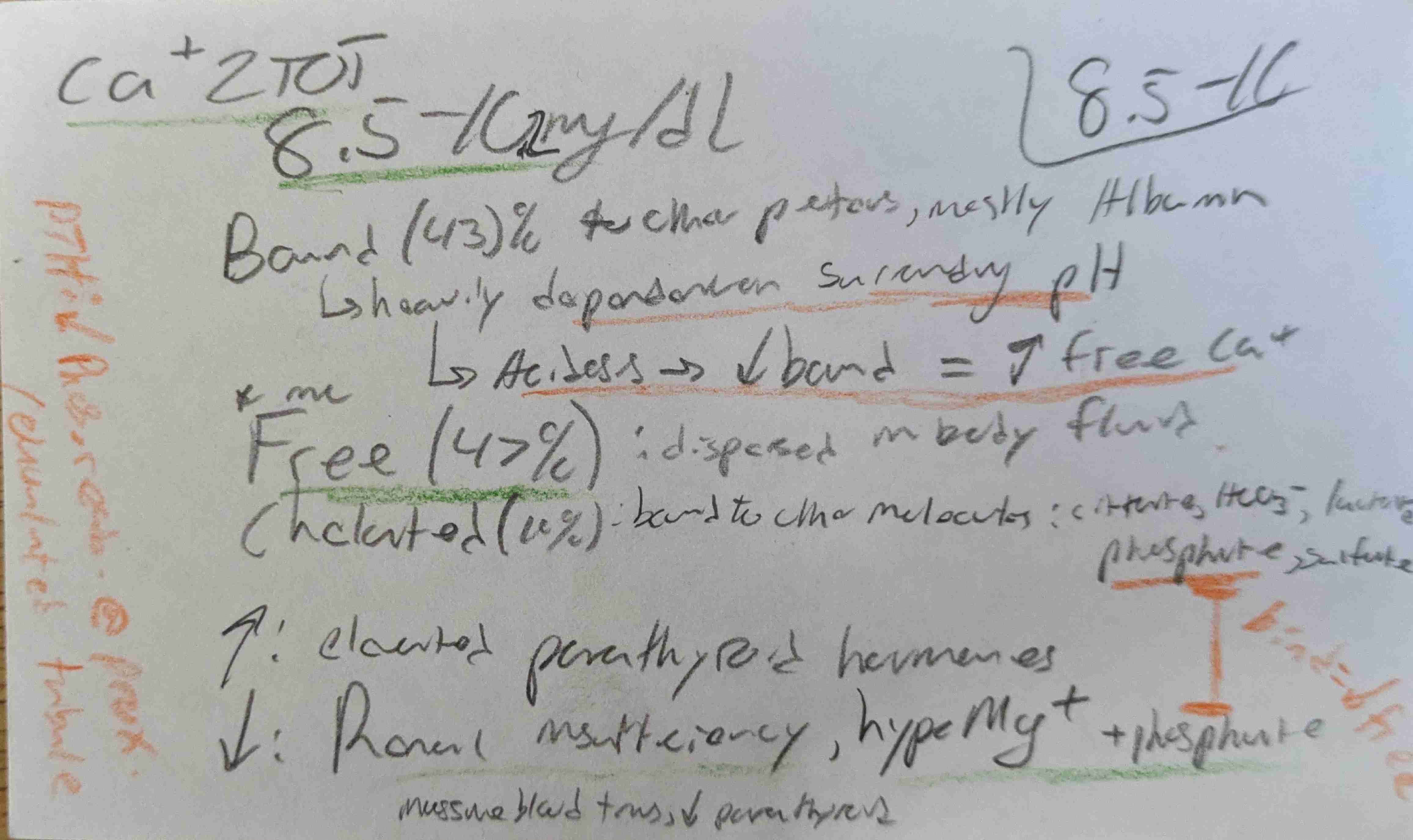 knowt flashcard image