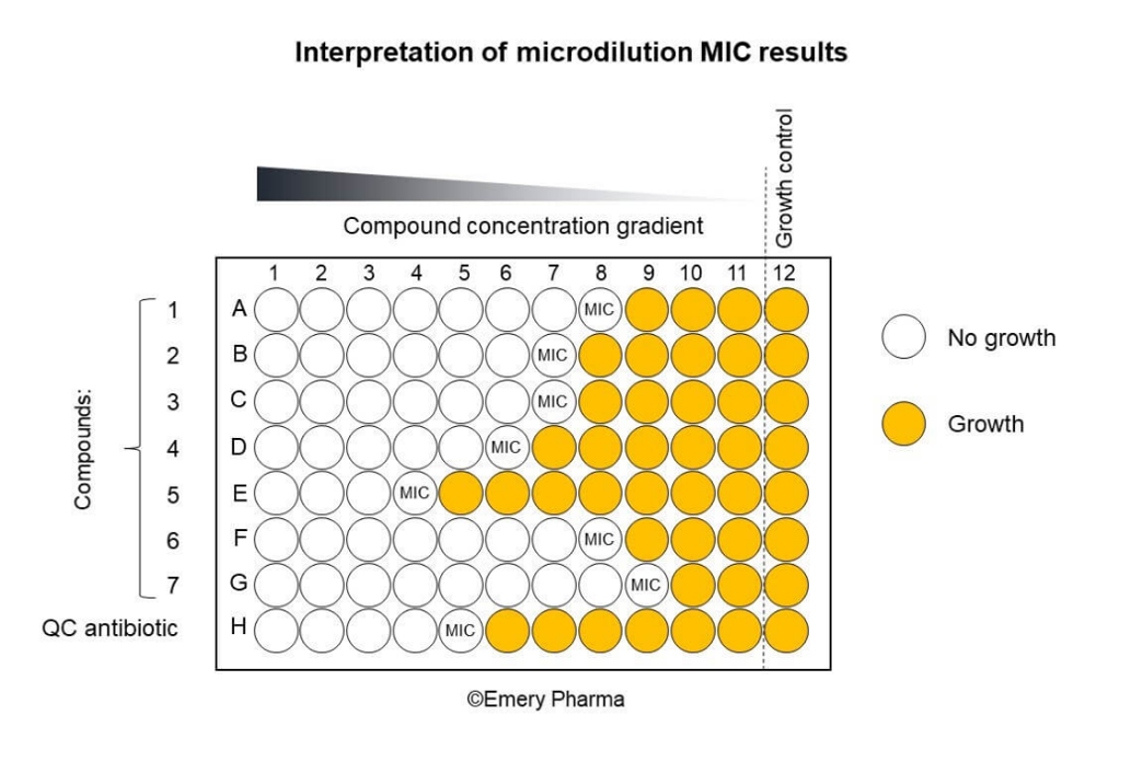 Broth microdilution tests