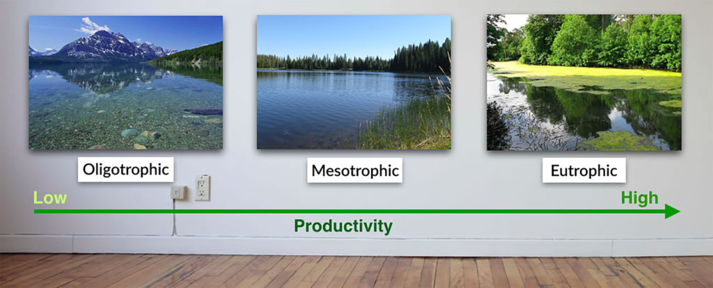 <ul><li><p>average productivity</p></li><li><p>clear, with some aquatic plants</p></li></ul><p></p>
