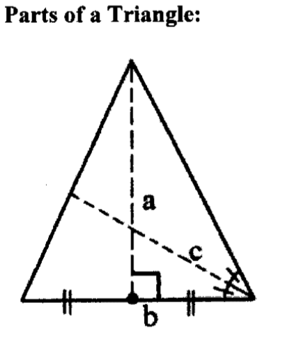 <p>What does “b” label?</p>