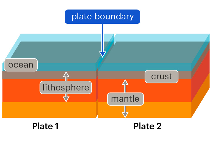 <p>A border between two neighbouring tectonic plates</p><p>Tectonic plates interact at plate boundaries. This can cause earthquakes and volcanic eruptions.</p>