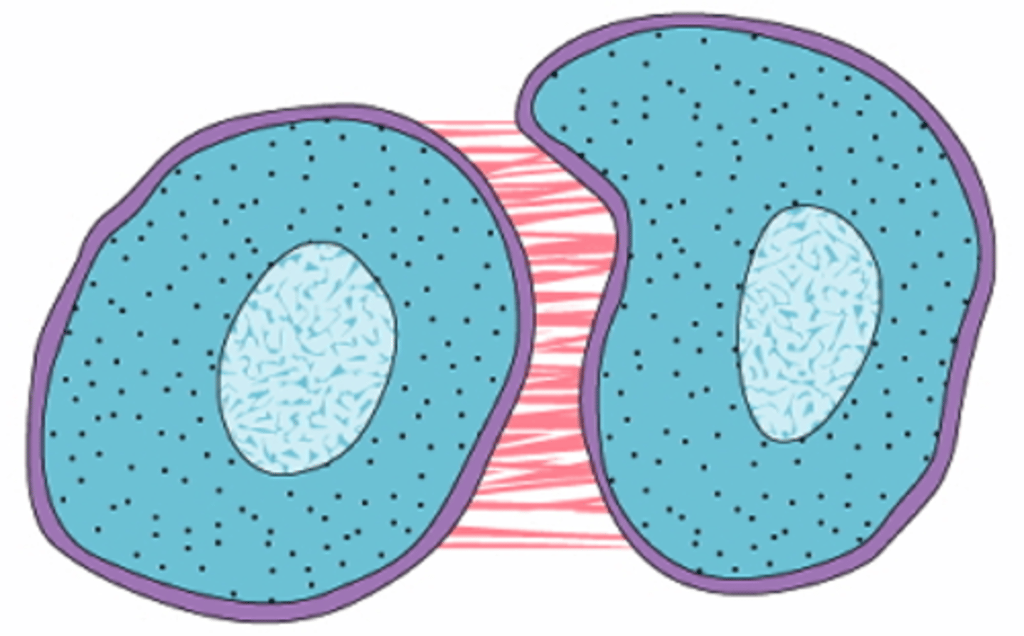<p>signaling between cells in direct contact with each other</p>
