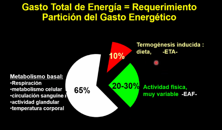 <ol><li><p><strong>Evaluación del estado de nutrición: 4 tipos de evaluaciones</strong></p><ol><li><p><strong><span style="color: red">Evaluación: Antropométrica, bioquímica, clínica y dietética</span></strong></p></li></ol></li><li><p><strong>Prescripción dietética</strong></p></li><li><p><strong>Elaboración de la dieta</strong></p><ol><li><p>Estimación de las necesidades de energía (se calcula por 3 cosas que son <strong>componentes del gasto energético</strong>):</p><ol><li><p><strong><span style="color: red">MB = Gasto de energía por metabolismo basal</span></strong></p></li><li><p><strong><span style="color: red">ETA = efecto térmico de los alimentos</span></strong></p></li><li><p><strong><span style="color: red">EAF = energía por actividad física</span></strong></p></li></ol></li><li><p>Estimación de las cantidades de macronutrientes = proteínas, grasas e CHO a partir del <strong><span style="color: red">gasto energético total GET</span></strong></p></li><li><p>Utilizar el sistema de equivalentes</p></li><li><p>Dividir los equivalentes en diferentes tiempo de comida</p></li><li><p>Traducir la cantidad de equivalentes de cada categoría a alimentos y platillos haciendo menús</p></li></ol></li></ol>