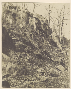 <p>Rocky Hillside</p>