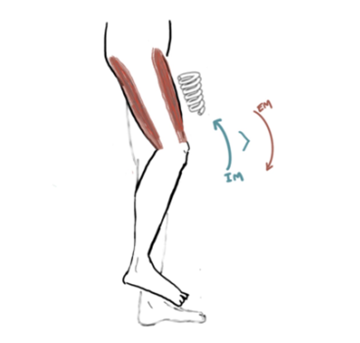 <p>IM: Knee Extension (quads)</p><p>EM: Knee Flexion</p><p>IM&gt;EM (concentric)</p><p>60 into 10° Flexion</p><p>*Hamstrings eccentric to slow down the knee*</p>
