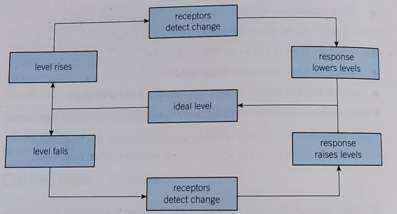 <p>Negative feedback systems work to maintain a steady state. If something in the internal environment increases, changes take place to reduce them to the normal level, and vice versa for if they decrease.</p>