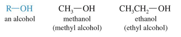 <p><strong>Hydroxyl Group</strong> is the main functional group</p>