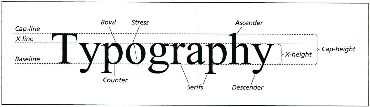 <p>Typeface Characteristics</p>