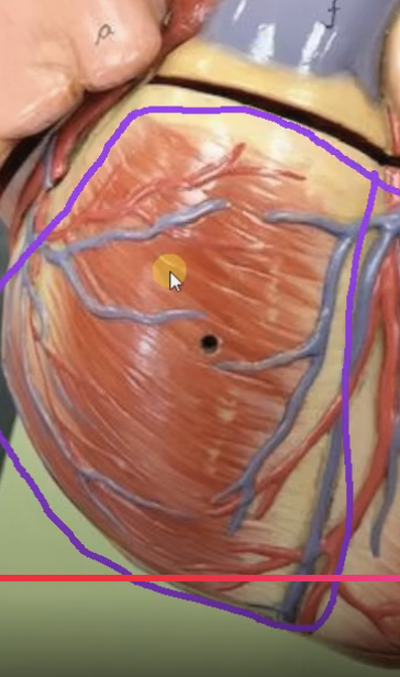 <p>What does this represent…. </p>