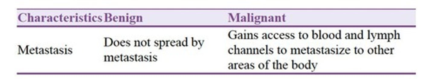 <p>Poorly differentiated, invades and metastasizes.</p>