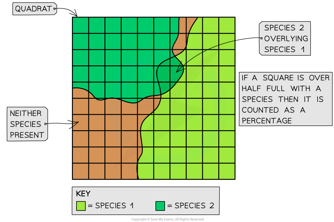<ul><li><p>hard to count </p></li><li><p>quadrat divided into 100 smaller squares</p></li><li><p>no. squares species found in is equivalent to percentage cover in quadrate e.g. 89/100 = 89%</p></li></ul><p></p>