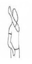 <p>Shoulder FLEX, ADD, ER</p><p>Forearm - Sup</p><p>Wrist - Rad. Flexion</p><p>Fingers - flexion</p>