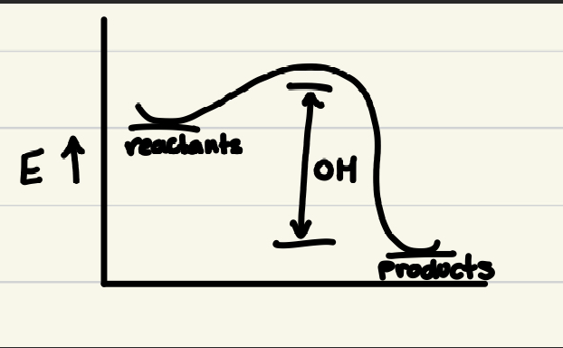<p>Heat leaves system (reactants → products + heat)</p>