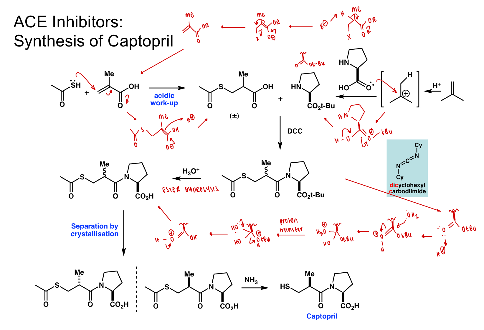<p>last step = nucleophilic substitution </p>