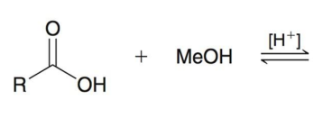 <p>Fischer Esterification Mechanism</p>