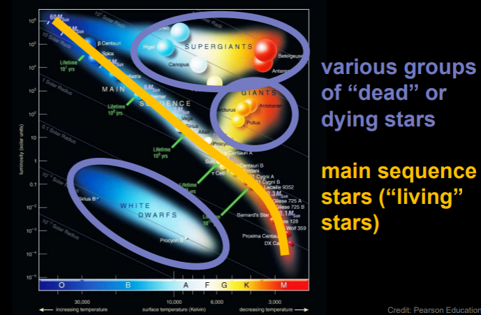 * The surface temp. and luminosity of the stars determine the location of the star on the diagram 


* O stars are located in the top left of the quadrant with the highest temperature and luminosity. M stars are located in the lower left quadrant as they have a lower temperature      and luminosity. The remaining star classes follow a near linear path between the position O and M stars.   
* Sun is found in the main sequence  (spectral class G) 
* Stars with a lower mass will burn slower because stars with a larger mass burn hydrogen at a faster rate, so the smaller mass stars will live longer (this means they have a      longer life) 
* The mass of the star determines their location on the main sequence 
* Changing the distance will not change the HR diagram because it relates only to temperature and true luminosity, so it will not change with distance
* Diagram would be the same.  