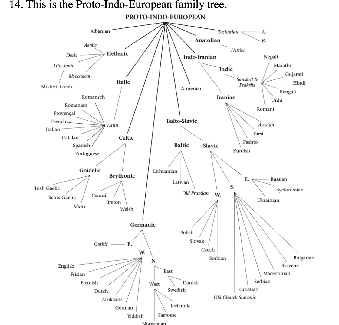 <p>Protolanguage</p>
