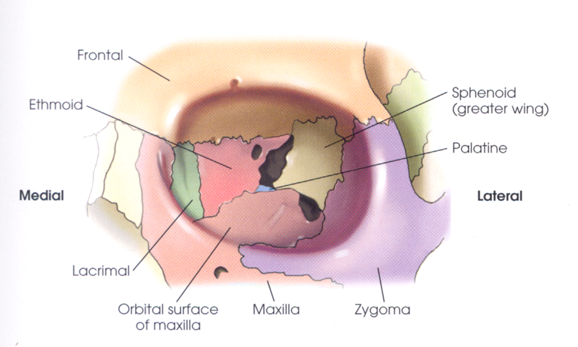 <p>image</p>