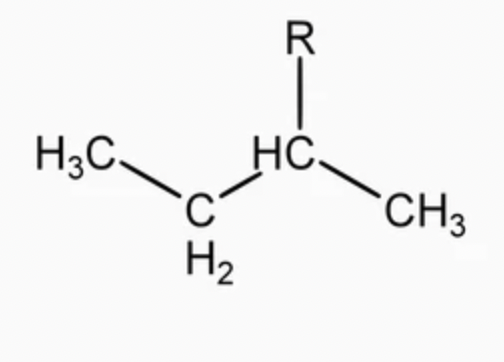 <p>alkyl group</p>