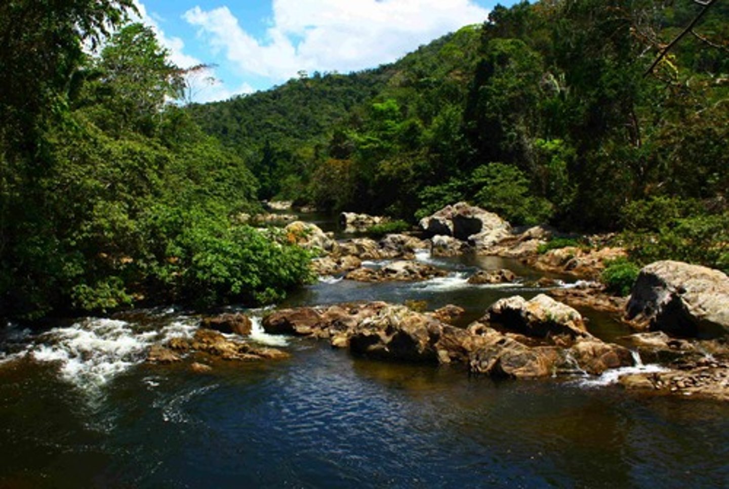 <p>Does not contain any saltwater and can be rivers, lakes, streams,ponds, and wetlands, etc.</p>