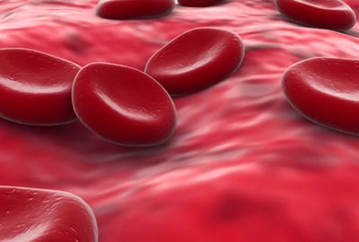 <p>Red blood cells; they make up ~45% of blood</p>