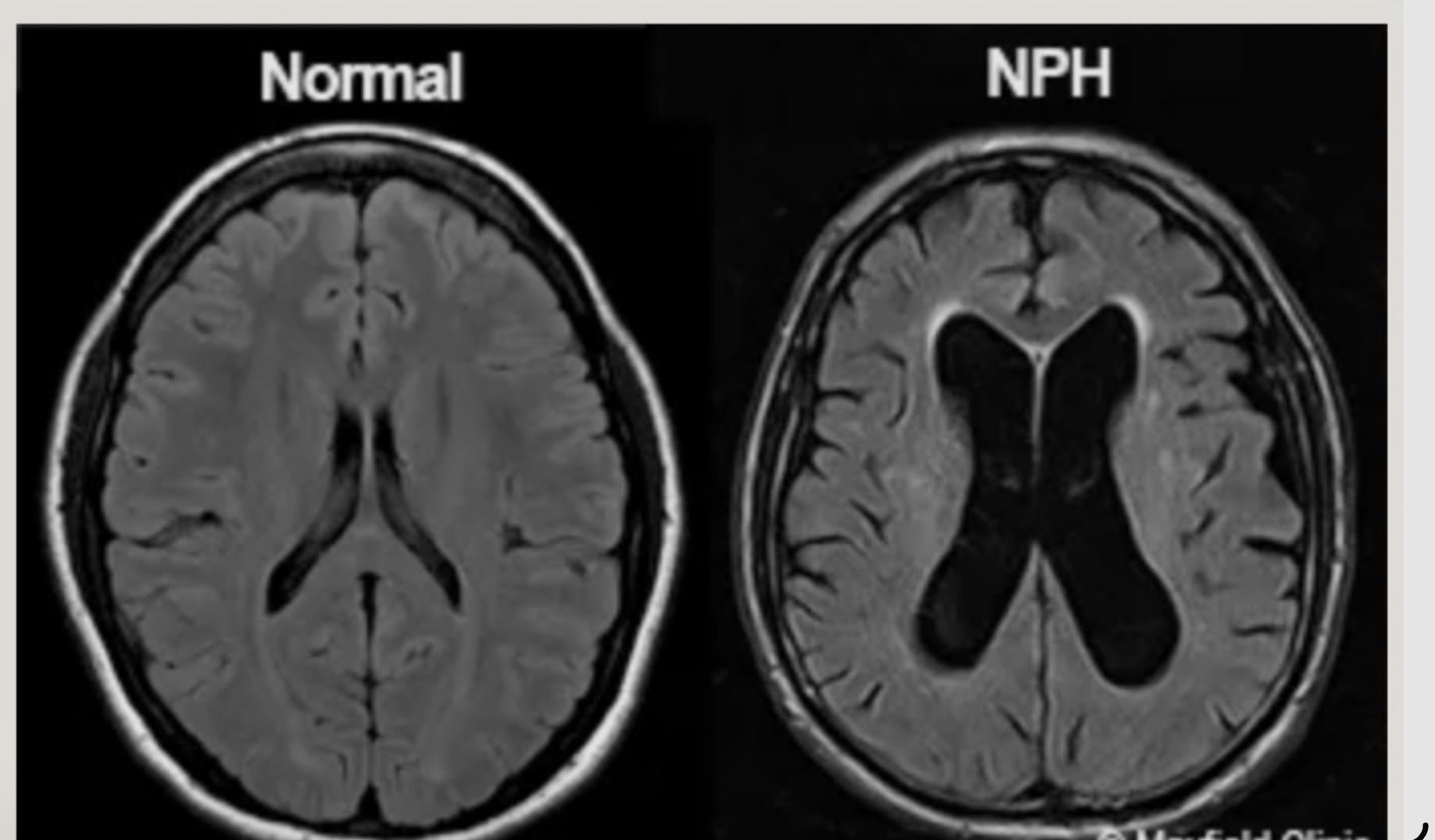 <p>What is this?</p>