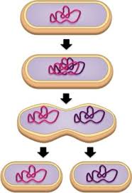 <p>What is this an example of?</p>