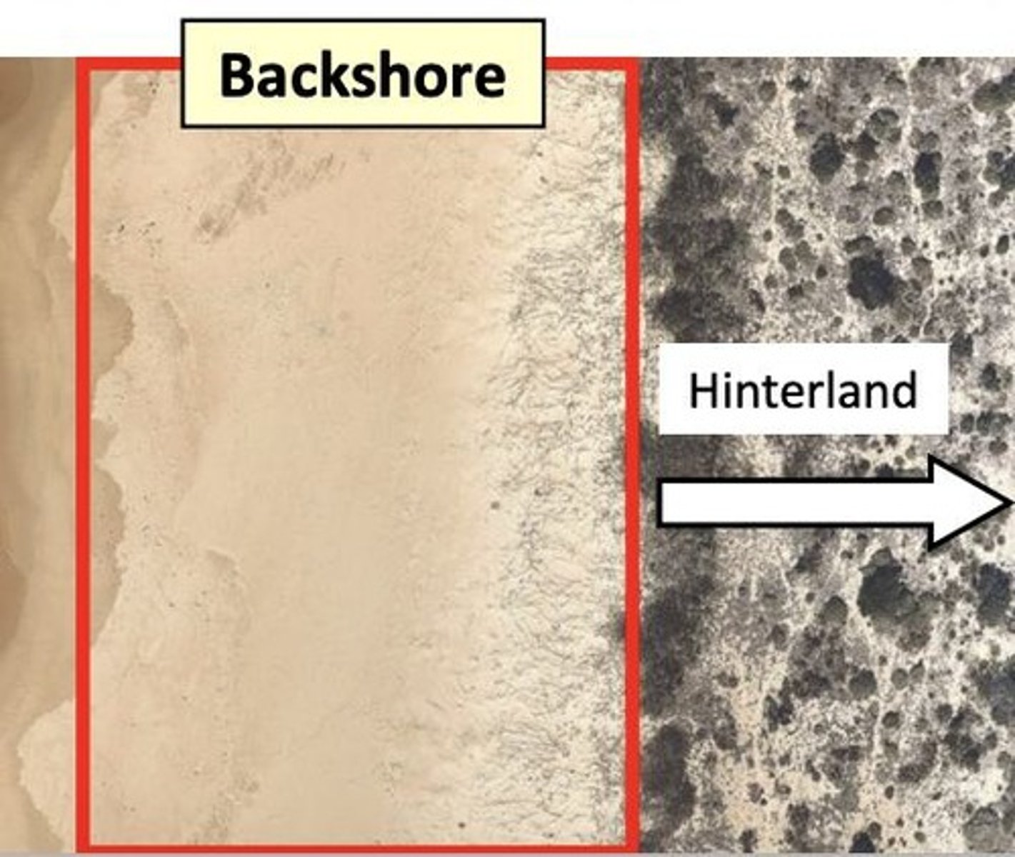 <p>The backshore is dry under normal conditions, located above the high tide limit, and includes beaches and berms.</p>