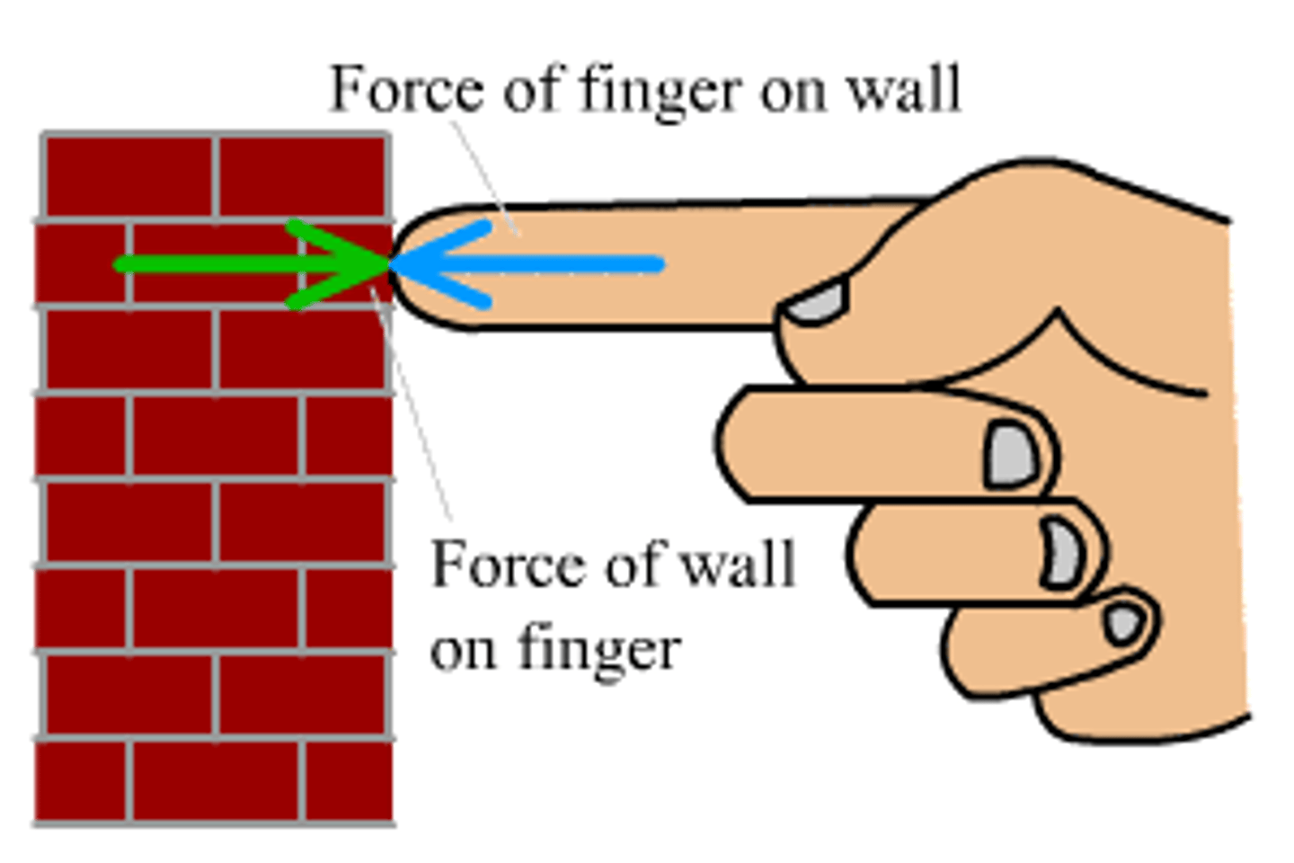 <p>if you push on a wall, it will push back on you as hard as you are pushing on it</p>