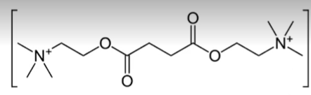 <p>anticholinergic</p><p></p><p>dimer of acetylcholine bonded through an alpha carbon of each ACh</p><p></p><p>is rapidly hydrolyzed and is used for rapid induction of neuromuscular blockage</p>