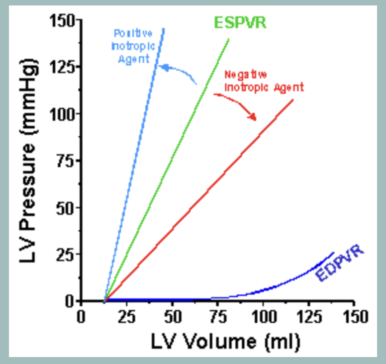 <ul><li><p>line that reflects the end-systolic (maximal pressure) state of the heart.</p></li><li><p>Generally a linear relationship.</p></li><li><p>ESPVR intersects the x-axis at V0.</p><ul><li><p>It does not intersect the volume axis at zero because it requires at least a small amount of volume in the ventricle before any pressure can be generated</p></li></ul></li><li><p><span>Changes in myocardial contractility will alter the slope of the ESPVR</span></p><ul><li><p><span>Contractility improves (positive inotropy) the slope will increase with a shifting of the slope to the left. </span></p></li><li><p><span>Contractility decreases (negative inotropy), the slope of the ESPVR will decrease with a shifting of the curve to the right</span></p></li></ul></li></ul><p></p><ul><li><p><span>Point at which the pressure volume loop contacts the ESPVR is called the Pes (pressure at end systole</span></p></li><li><p>Not affected by preload, afterload, or HR</p></li></ul><p></p>