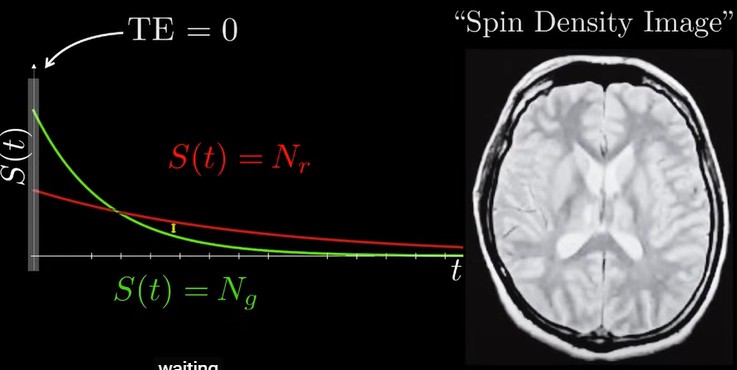 <p>in some tissues, greatest contrast is found when echo time is 0, if signal was detected immediately. the different brightness between tissue now reflects the difference in protons each tissue contains, no spin or spin dephasing occurs.</p>
