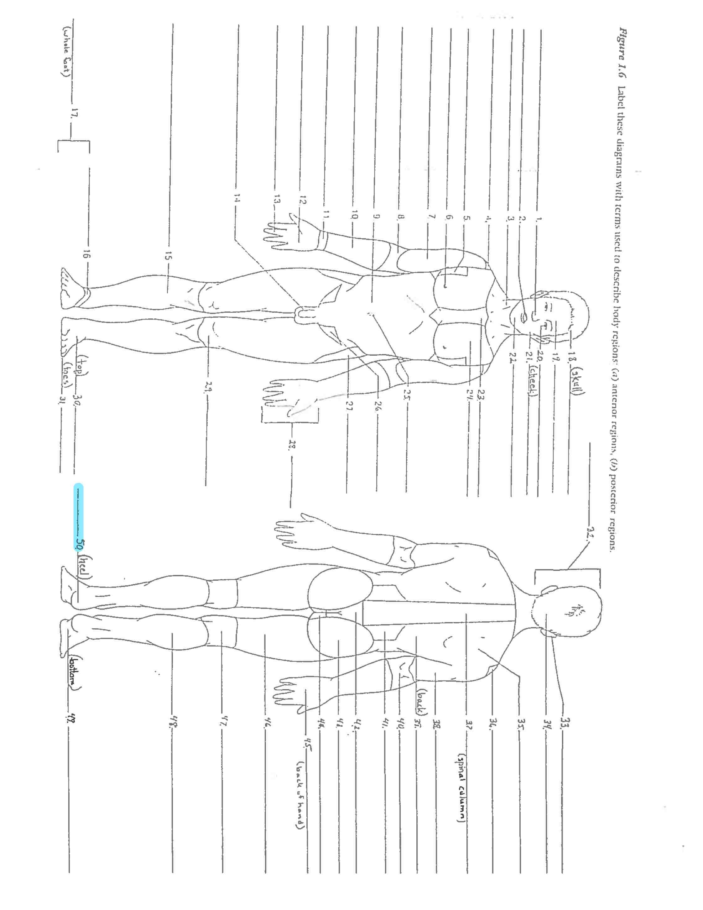<p>Line 50</p>