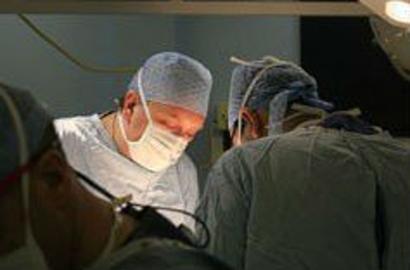 <p>Excision or surgical removal</p>