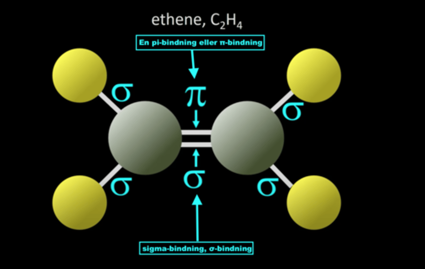 <p>Kan skapa dubbelbindning, dvs 1 sigmabindning + 1 pi-bindning</p>
