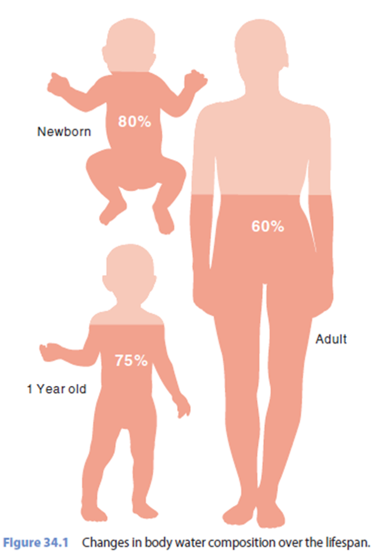 <p>what populations are at risk of fluid/electrolyte imbalance</p>