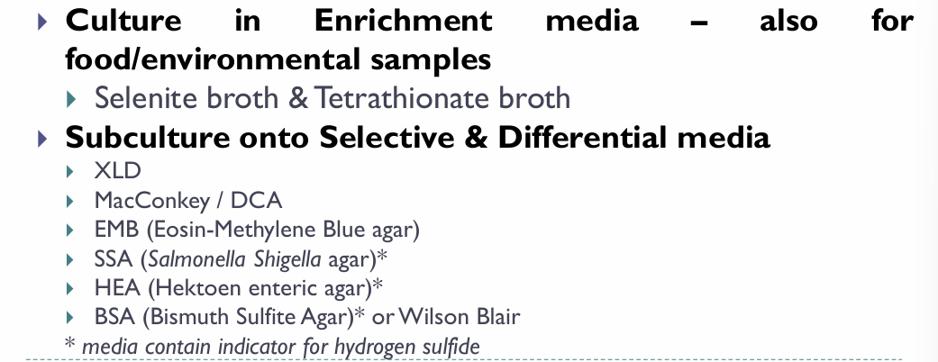 <ul><li><p>MCA/DCA → Pale (cuz NLF)</p></li><li><p>Hektoen enteric agar (HEA) → Positive H2S → Cat eye colonies</p><ul><li><p>Note: S. typhi i a weak H2S producer </p></li></ul></li><li><p>SS → Black colonies with silver/metallic sheen</p></li><li><p>EMB → Colorless/Light purple (NLF)</p></li><li><p>TSI → + H2S and Gas</p></li></ul><p></p>