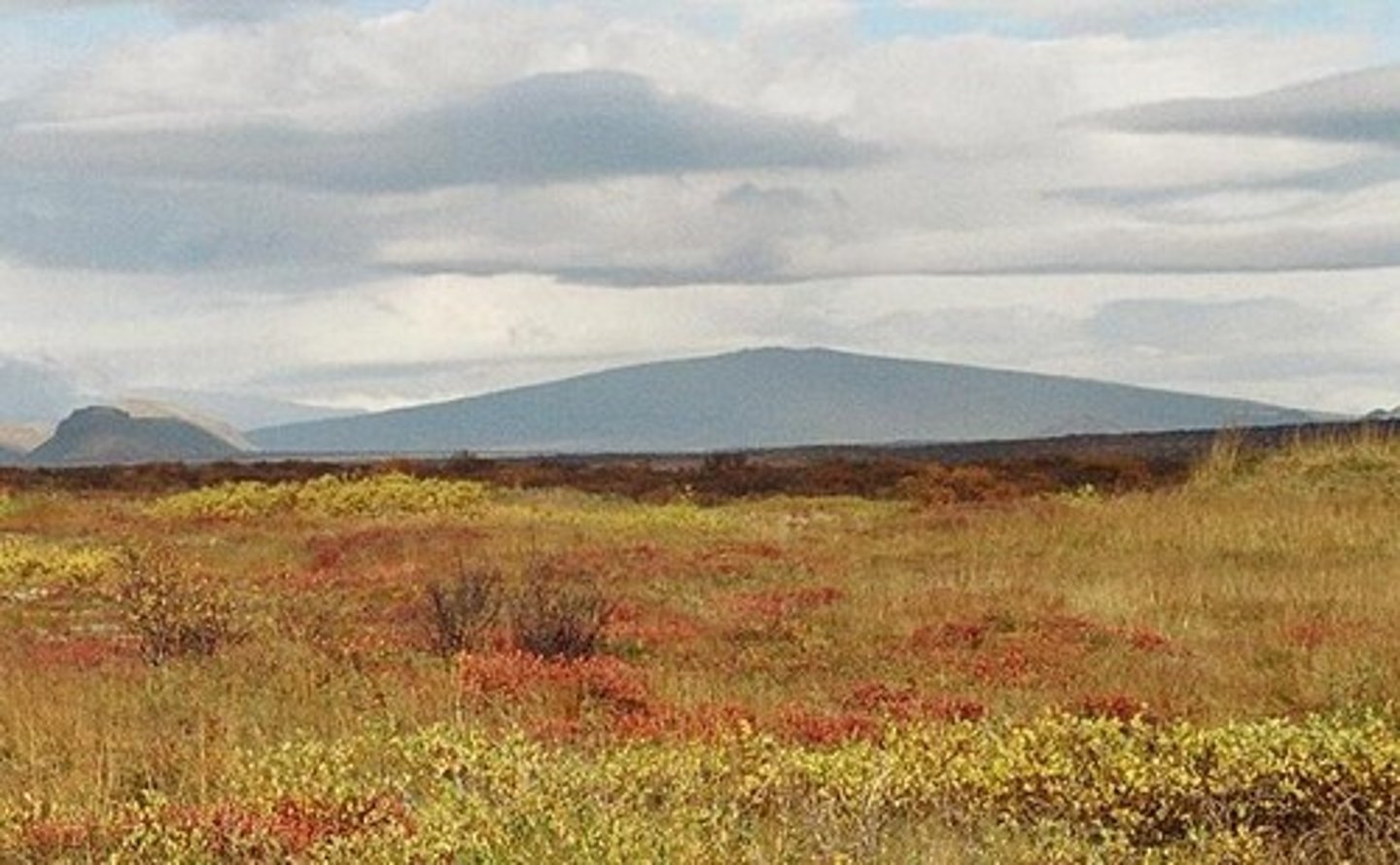 <p>a wide gentle slopping volcano made of layers of lava and formed by quiet erruptions.</p>