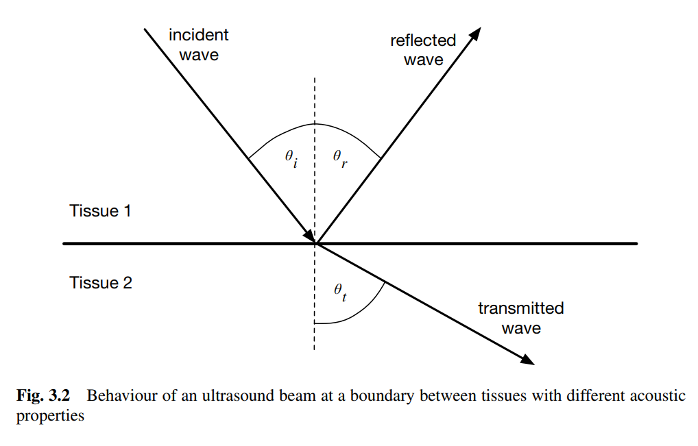 <p>When an ultrasound wave hits a boundary, part of the wave is <strong>reflected</strong> and part is <strong>transmitted</strong>, depending on the acoustic properties of the tissues. The behavior is similar to light waves at a boundary:</p><p>- The angle of incidence equals the angle of reflection: $$ \theta_i = \theta_r $$.</p><p>- Refraction is governed by Snell's law: </p><p>$$ \frac{\sin \theta_i}{\sin \theta_t} = \frac{c_1}{c_2}, $$</p><p>  where $$ c_1 $$ and $$ c_2 $$ are the speeds of sound in the two tissues.</p>