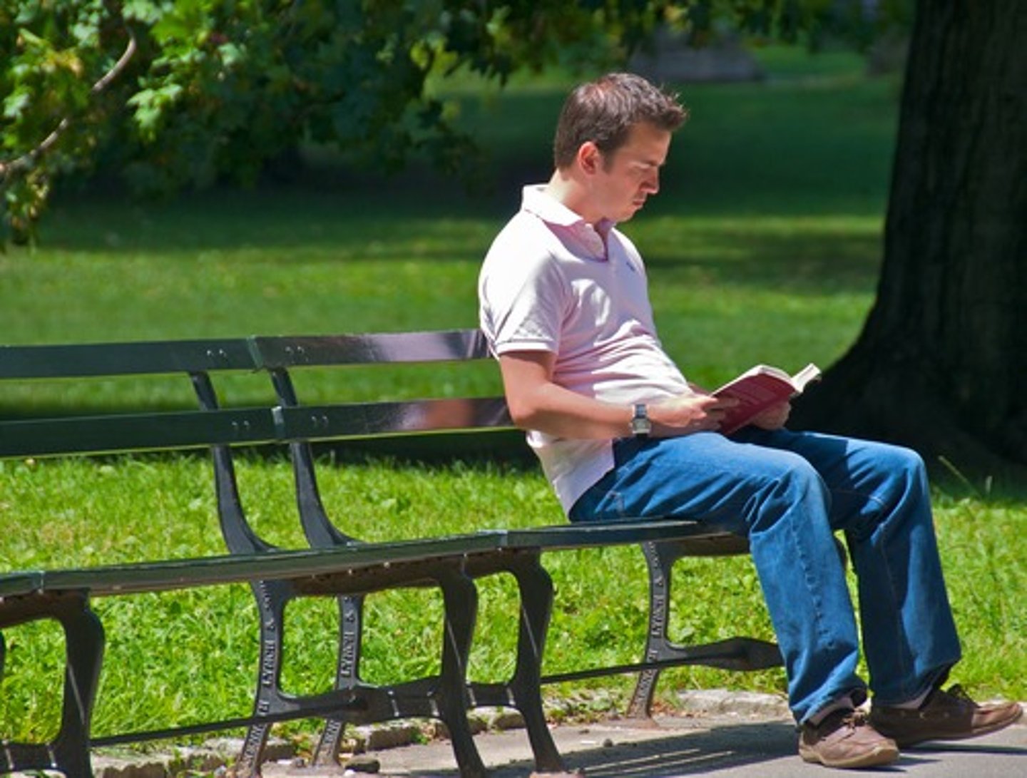 <p>introverted (reserved)</p>
