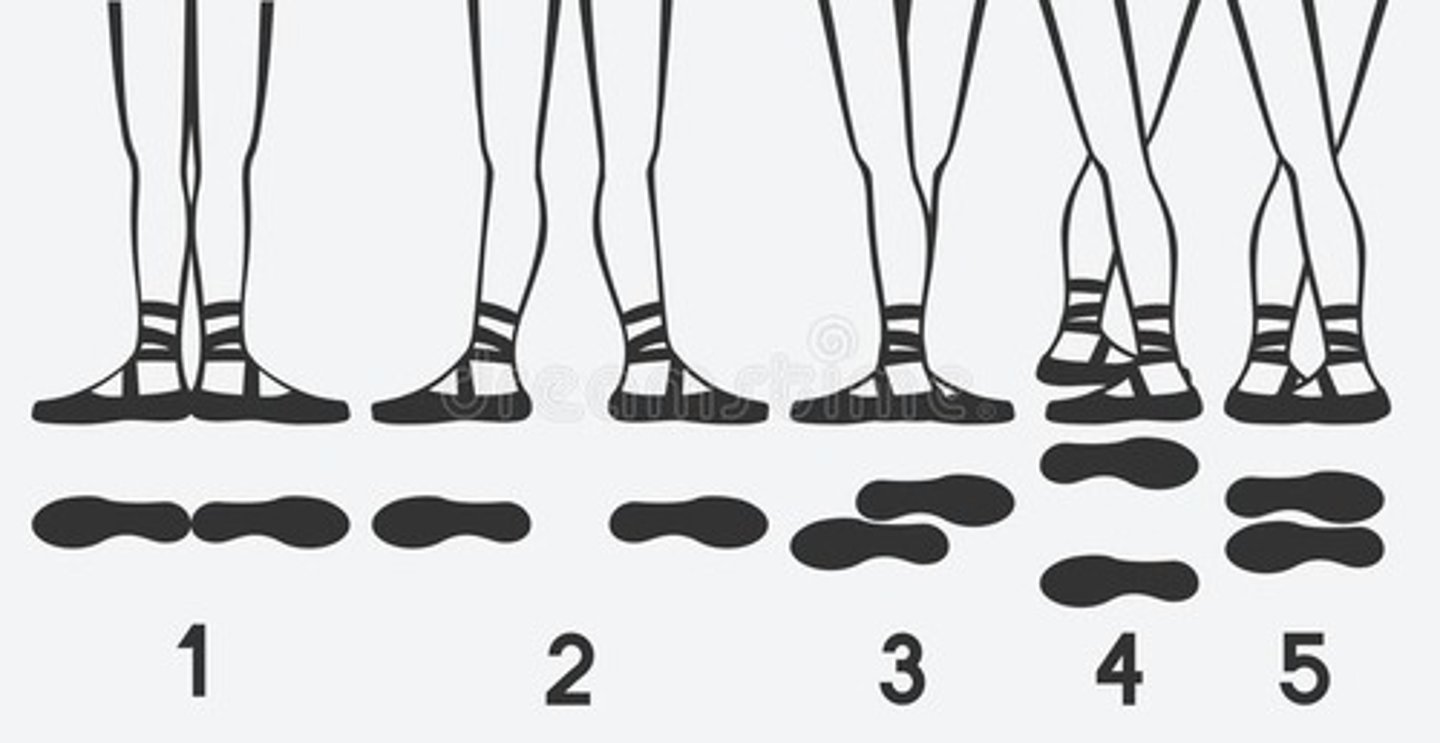 <p>In modern ballet, there are five basic placements of feet on the floor: first position through</p>
