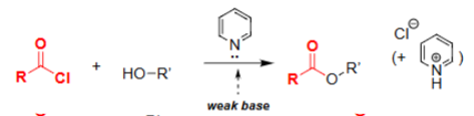 <ul><li><p>Acts as a weak, non-nucleophilic base.</p></li><li><p>Neutralizes HCl formed during esterification.</p></li><li><p>Prevents protonation of the alcohol nucleophile.</p></li><li><p>Helps drive formation of the ester product.</p></li></ul><p></p>