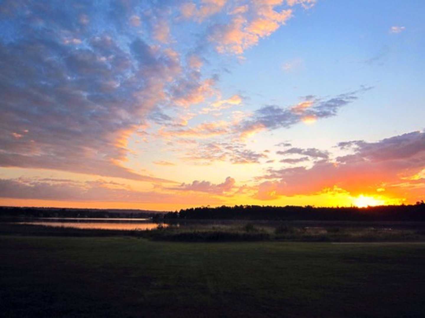 <p>in the morning</p>
