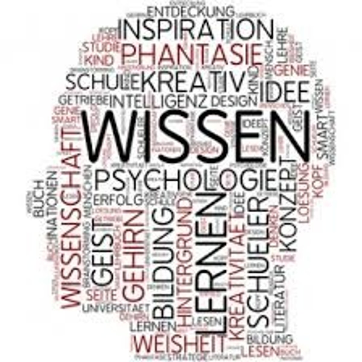 <p>psychology</p>