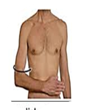 <p>what movement is this</p>