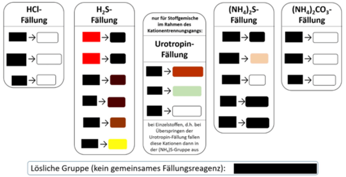 <p>H₂S-Fällung, schwarzer NS</p>